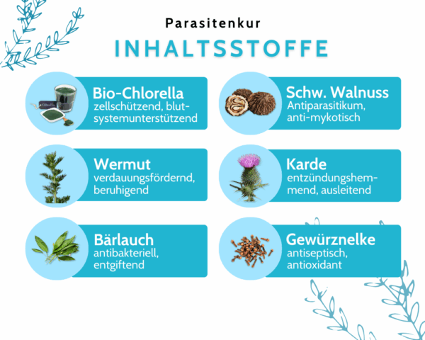 Skaistes Parasitenkur – Bild 3