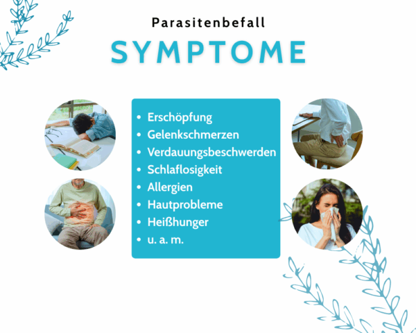 Skaistes Parasitenkur – Bild 4